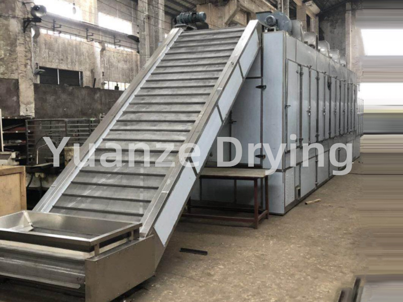  DWT series dehydrated vegetable dryer 